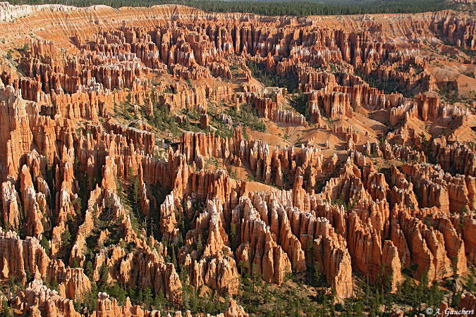 Bryce Point